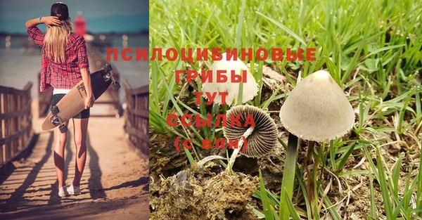 Альфа ПВП Абаза