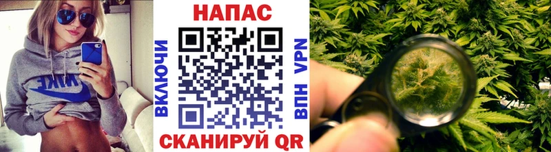 Канабис OG Kush  это состав  Среднеколымск 